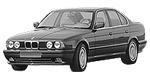 BMW E34 P2910 Fault Code